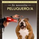 Peluquer@ Canino