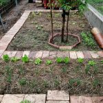 Manteniment i preparació de jardins