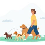 Cuidadora y paseadora de mascotas
